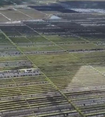 Solar Field Destroyed Texas.JPG